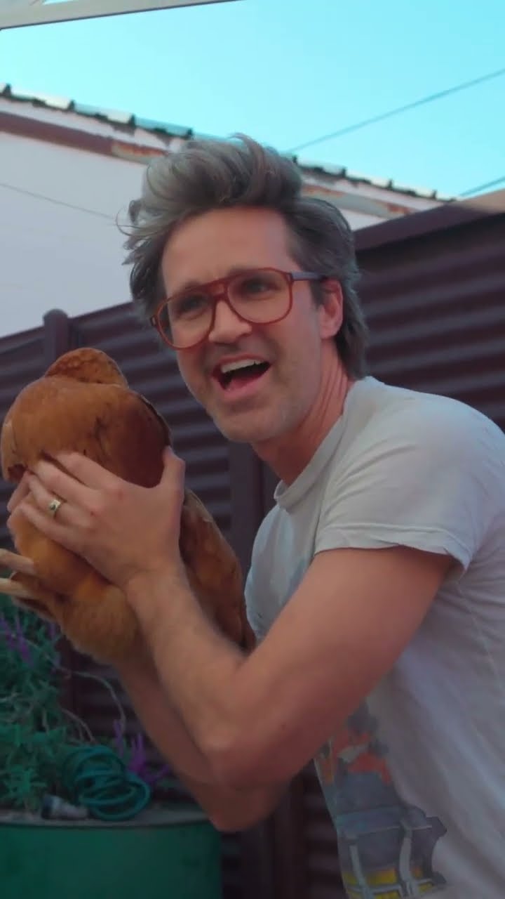 Chickens at the Mythical Office